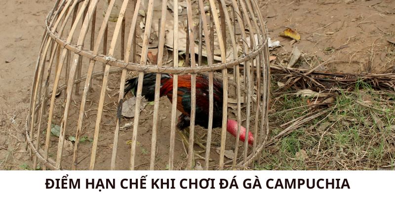 Điểm hạn chế cần biết khi tham gia