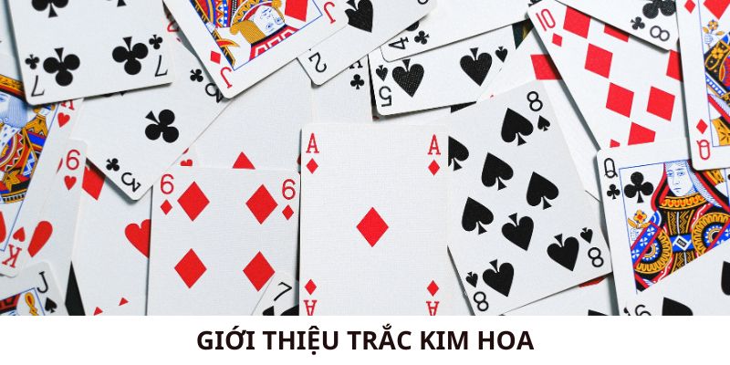 Giới thiệu Trắc Kim Hoa