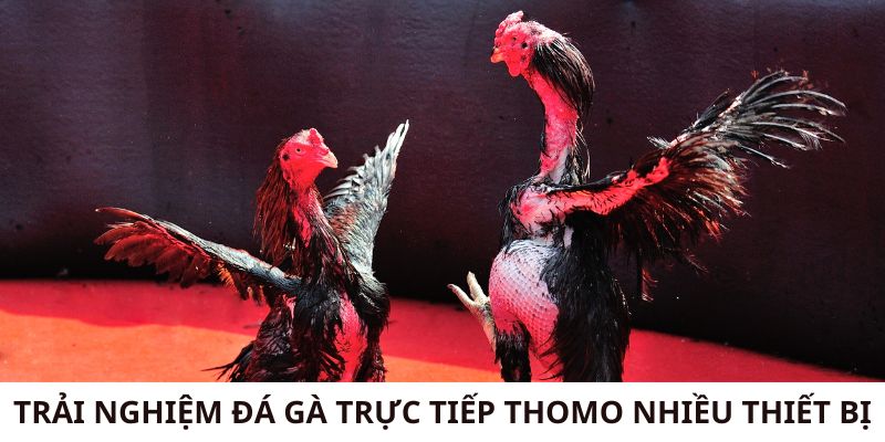 Trải nghiệm trên mọi nền tảng, thiết bị